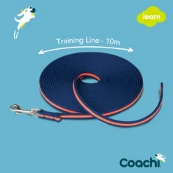 Company Of Animals Coachi Dog Training Line 10mtr - Blue -Cheap Canine Kits Store company of animals coachi dog training line 10mtr blue p23895 33161 zoom