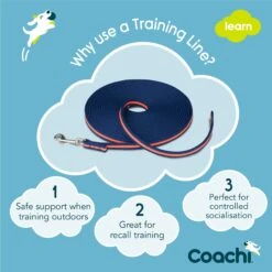 Company Of Animals Coachi Dog Training Line 10mtr - Blue -Cheap Canine Kits Store company of animals coachi dog training line 10mtr blue p23895 33162 zoom