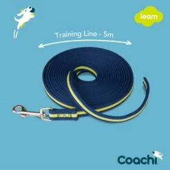 Company Of Animals Coachi Dog Training Line 5mtr - Blue -Cheap Canine Kits Store company of animals coachi dog training line 5mtr blue p23896 33166 zoom