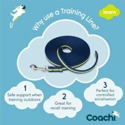 Company Of Animals Coachi Dog Training Line 5mtr - Blue -Cheap Canine Kits Store company of animals coachi dog training line 5mtr blue p23896 33168 zoom