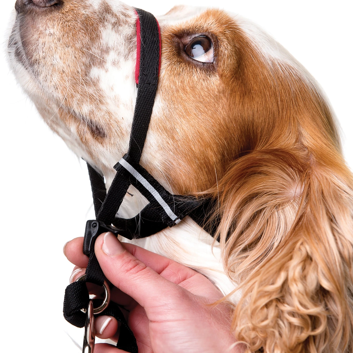 Company Of Animals Halti Optifit Dog Headcollar Large 5 Company Of Animals Halti Optifit Dog Headcollar Large - Image 3