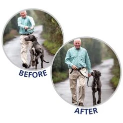 Company Of Animals Halti Optifit Dog Headcollar Large 11 Company Of Animals Halti Optifit Dog Headcollar Large -Cheap Canine Kits Store company of animals halti optifit dog headcollar large p20588 26024 zoom