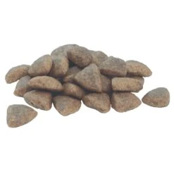 PRO PLAN All Sizes Adult Dog Performance With OPTIPOWER In Chicken 14kg -Cheap Canine Kits Store pro plan all sizes adult dog performance with optipower in chicken 14kg p823 20633 zoom