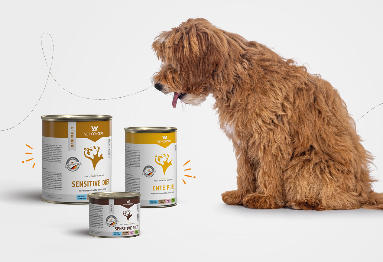 Cheap Canine Kits Store -Cheap Canine Kits Store thuc an uot